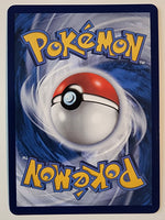 Journey Together Ruffian 181/159