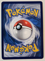 Journey Together N's Zoroark ex