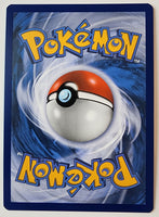 Champion's Path Charizard VMAX Secret Rare Rainbow 074/073